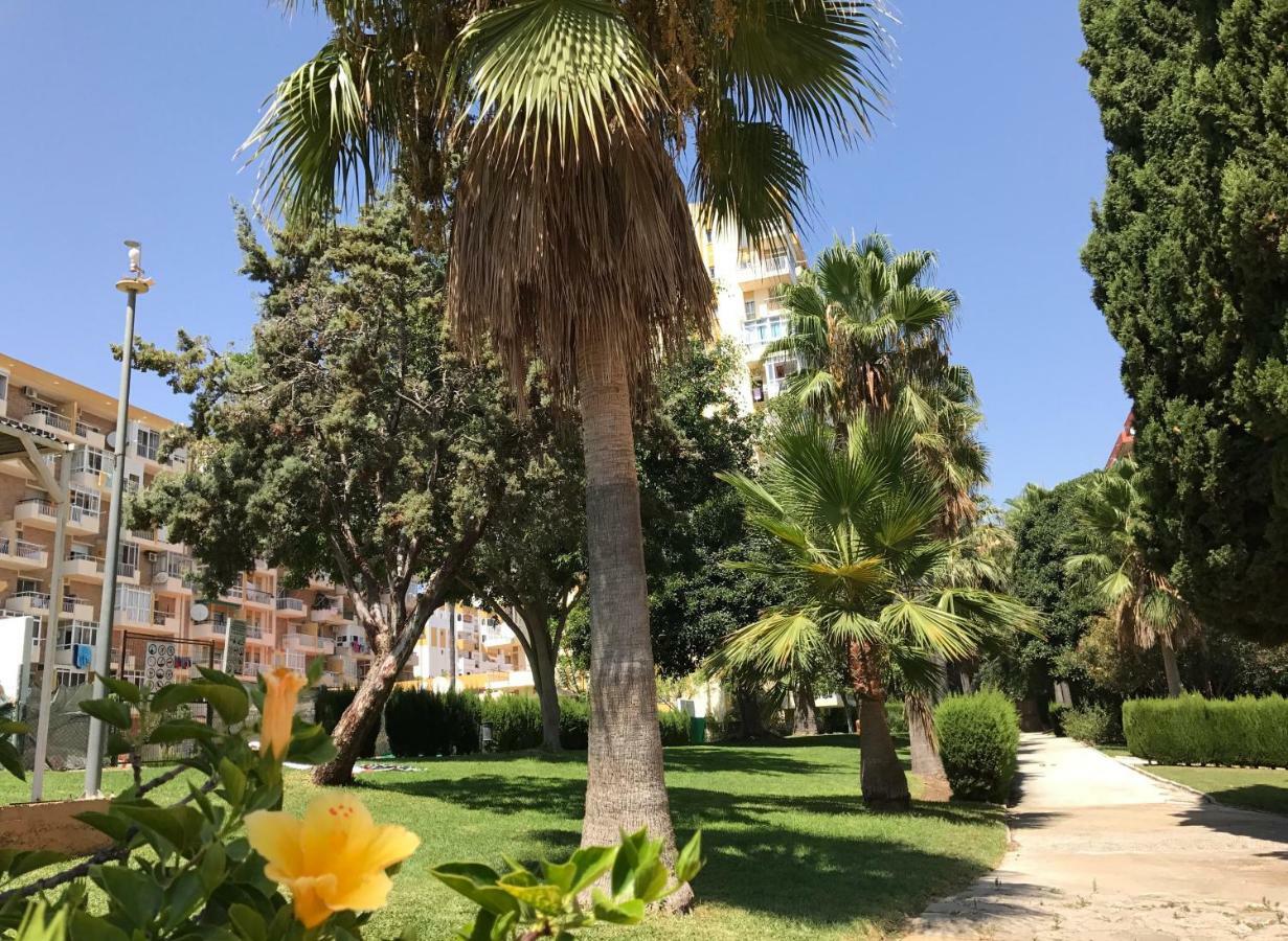 דירות בנאלמדנה Apartamento Edificio Agata מראה חיצוני תמונה